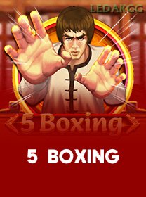 5 Boxing banner